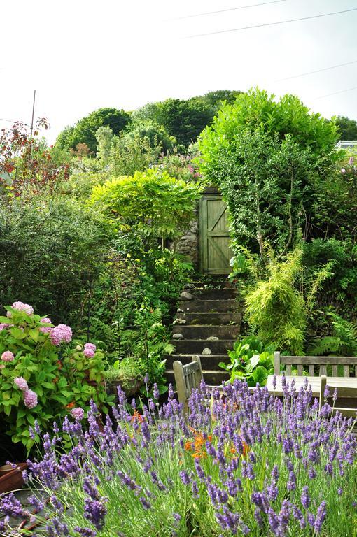 The Fernery B&B Lynton Bagian luar foto