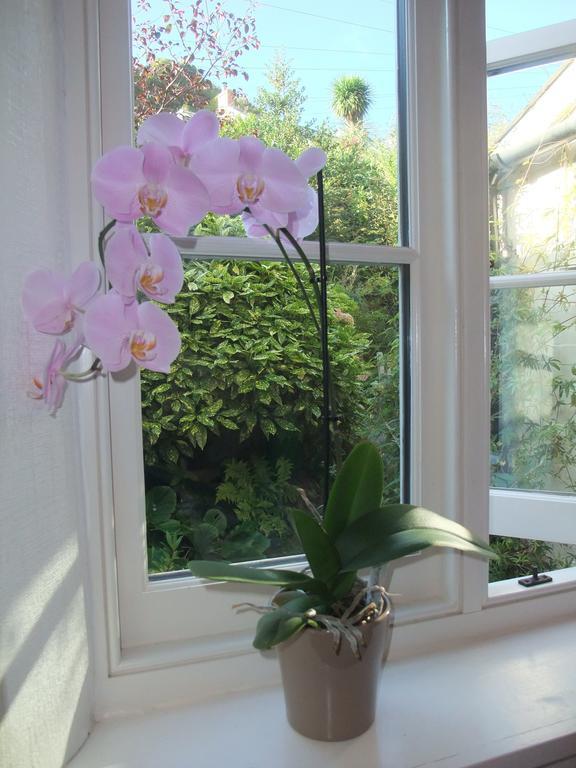 The Fernery B&B Lynton Ruang foto